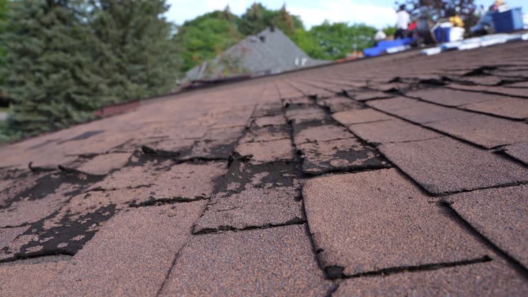 Best Cold Roofs  in Advae, NC